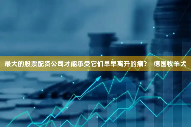 最大的股票配资公司才能承受它们早早离开的痛？  德国牧羊犬